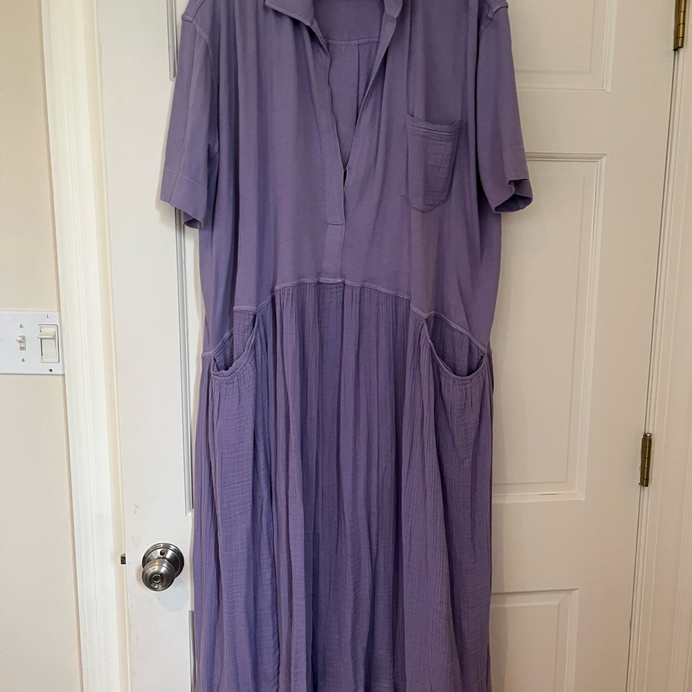 Free people dress